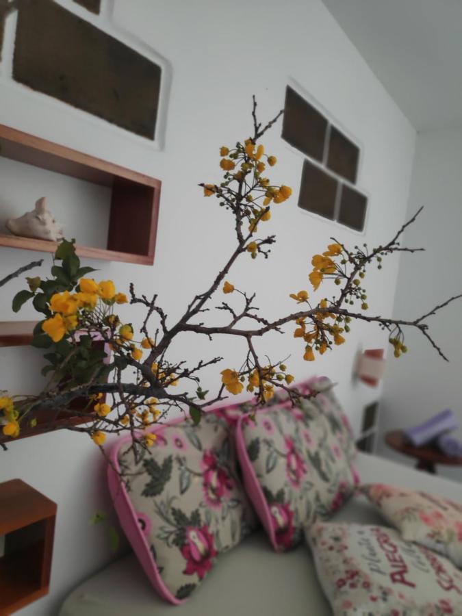 Anacardium Ξενοδοχείο Canoa Quebrada Εξωτερικό φωτογραφία