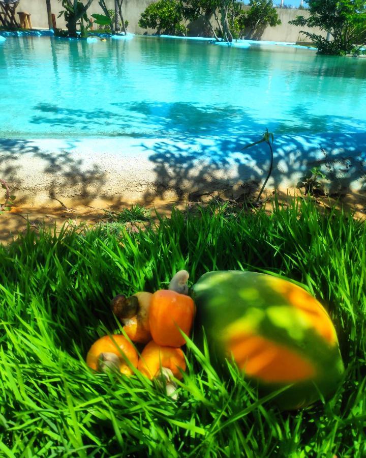 Anacardium Ξενοδοχείο Canoa Quebrada Εξωτερικό φωτογραφία